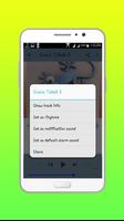 Suara Tokek Mp3 screenshot 2