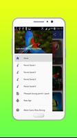 Suara Kicau Burung Parrot Offline bài đăng