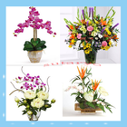 Cute Flower Arrangements Ideas ไอคอน
