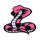 Snake Legend icon