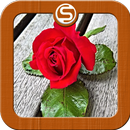 Update Status Cinta Keren APK