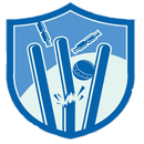 APK CrickeT20 Ticket Window