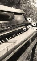 Piano Keys Wallpapers syot layar 2