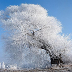 Winterlandschaften Zeichen