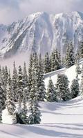 Winter Landscapes Wallpapers اسکرین شاٹ 1