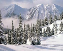 Winter Landscapes Wallpapers اسکرین شاٹ 3