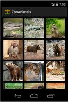 Poster Zoo : Animal Photos & Sounds