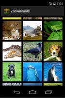 1 Schermata Zoo : Animal Photos & Sounds
