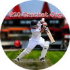 T20 Cricket Cup APK