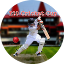 T20 Cricket Cup APK