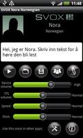 SVOX Norwegian Nora Trial poster