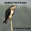 ”Indian Bird Sounds