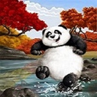 panda life icon
