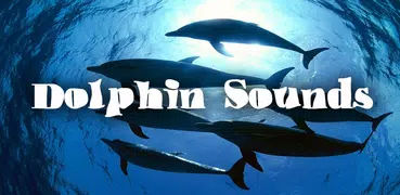 Dolphin Sounds