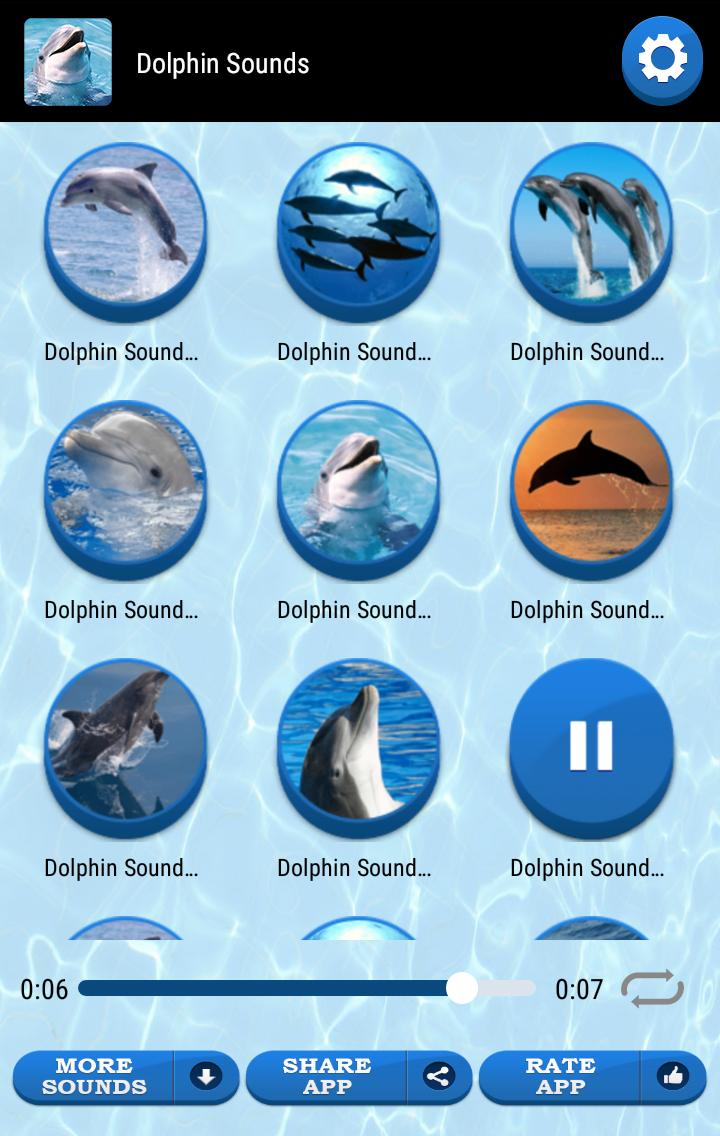 Дельфин какой звук. Звук дельфина. Дельфины звуки. Dolphin приложение. Дельфиньи звуки.