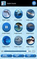 海豚音 截图 1