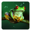 Frog Sounds APK