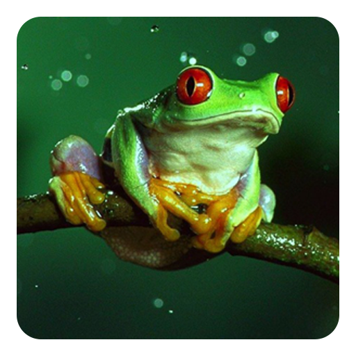 Frosch Klänge