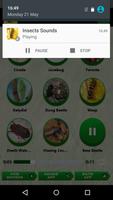 昆虫声音 截图 3