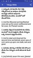 Bible In Telugu screenshot 3