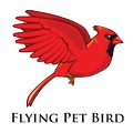 Flying Pet Bird