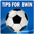 Tipps Für Bwin 图标