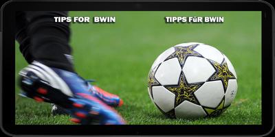 Tips For Bwin Plakat