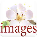 Images variety 2015 APK