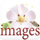 Images variety 2015 أيقونة