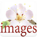Images variety 2015-APK