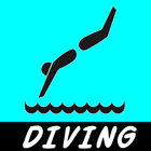 ikon Springboard Diving Lessons