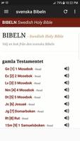 Swedish Holy Bible poster