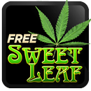Marijuana Live Wallpaper  - Wispy Smoke FREE APK