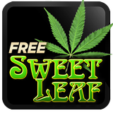 Marijuana Live Wallpaper  - Wispy Smoke FREE icône