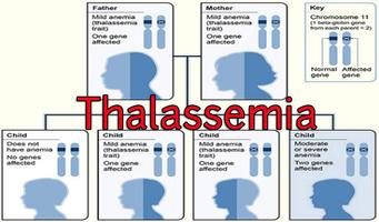 Thalassemia capture d'écran 1
