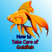 How to Take Care of Goldfish