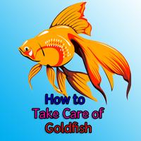 How to Take Care of Goldfish الملصق