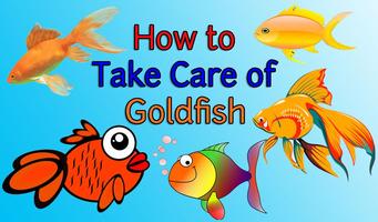 How to Take Care of Goldfish تصوير الشاشة 1