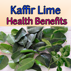 Kaffir Lime Health Benefits biểu tượng