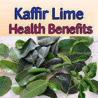 Kaffir Lime Health Benefits Affiche