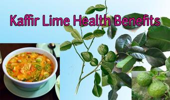 Kaffir Lime Health Benefits 截图 1