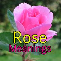 Rose Meanings Affiche