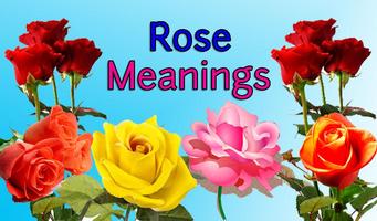 Rose Meanings capture d'écran 1