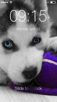 Husky Puppy HD Free PIN Lock পোস্টার