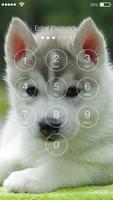 Husky Puppy HD Free PIN Lock screenshot 1