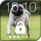 Cute pug runs - Lock Screen. icône