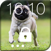 Cute pug runs - Lock Screen.