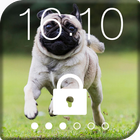 Pug Run Cute Dog Lock Screen-icoon