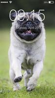 Pug Run Cute Dog Lock Screen पोस्टर