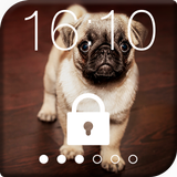 Sweet Pug Puppy Lock Screen icône